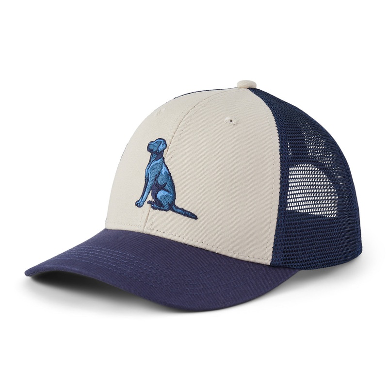 Adult Sitting Dog Trucker – Birch White