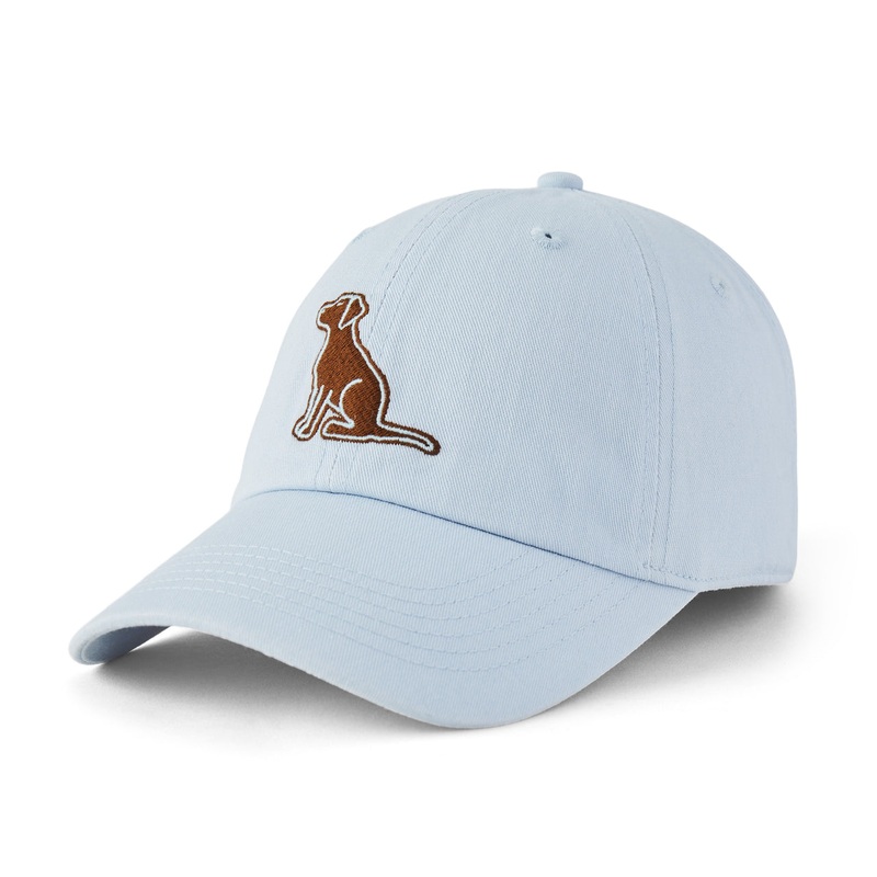 Adult Vintage Sitting Dog Chill Cap – Glacier Blue