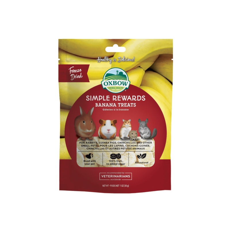 Simple Rewards Freeze Dried Banana Treats – 1oz.