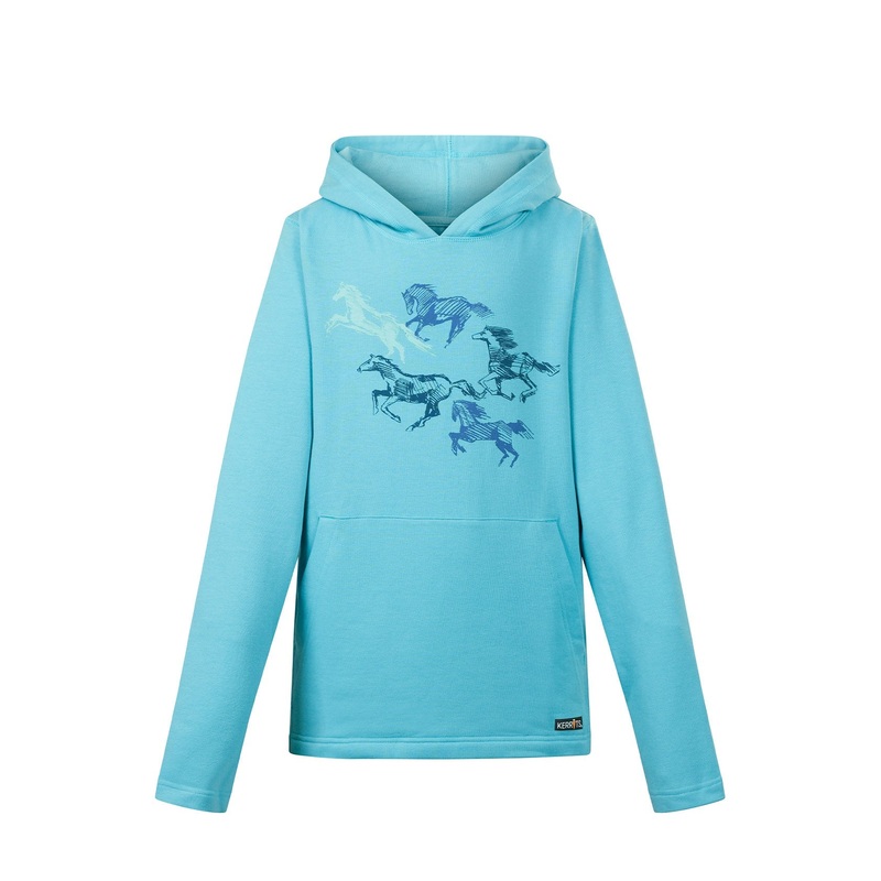 Kids Happy Herd Pullover Hoodie – Topaz