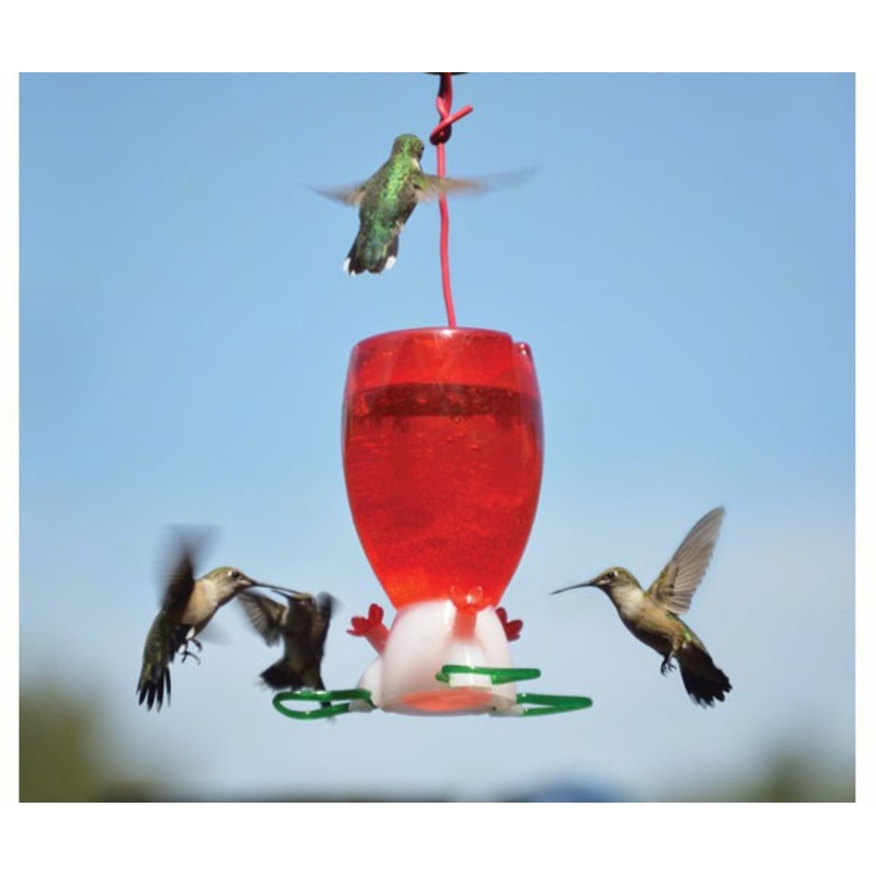 Big Red Hummingbird Feeder|10OZ