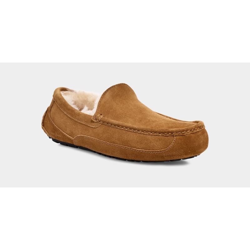 Men’s Ascot Slipper|Chestnut|Dusted Cocoa|Grey|8 M|9 M|10 M|11 M|12 M|13 M|14 M|8 EE|9 EE|10 EE|11 EE|12 EE|13 EE|14 EE|8 EEE|9 EEE|10 EEE|11 EEE|12 EEE|13 EEE|14 EEE