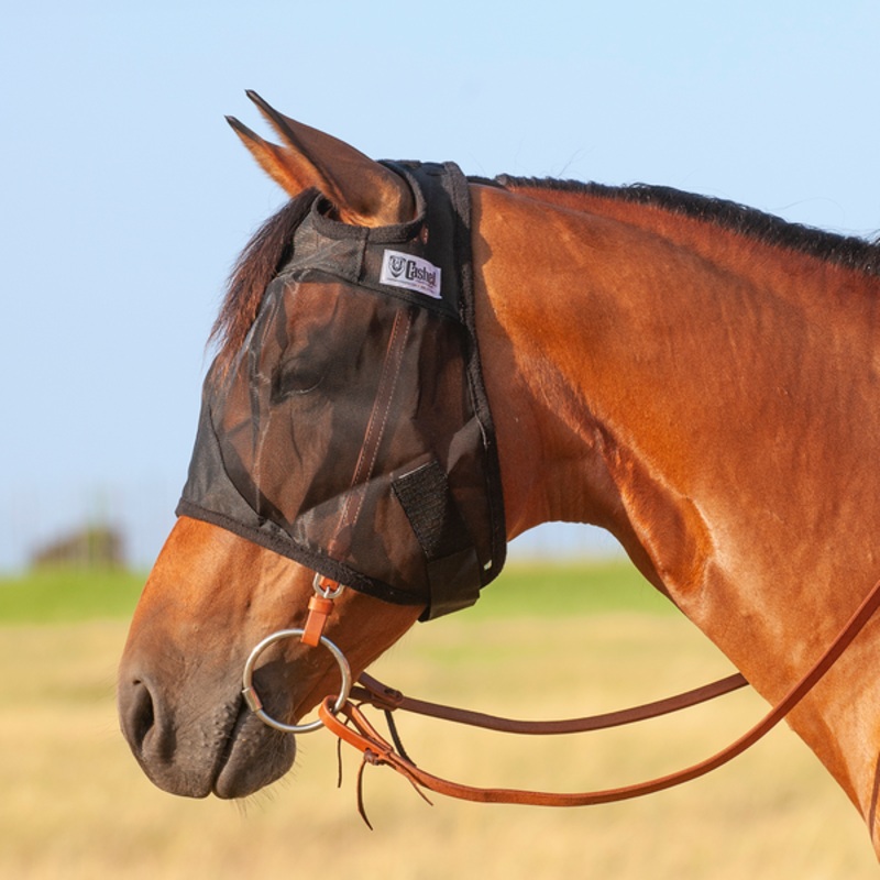 Quiet Ride Fly Mask Standard – Black